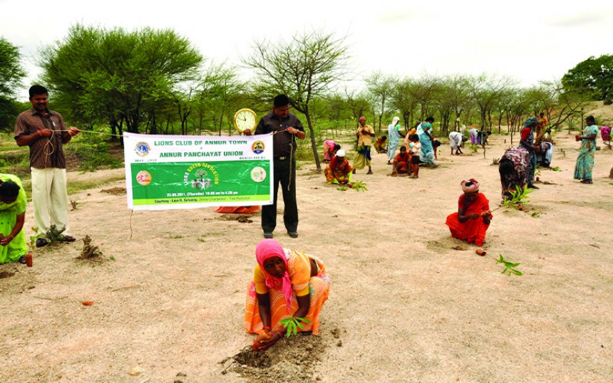 Most Trees Planted in 12 Hours
