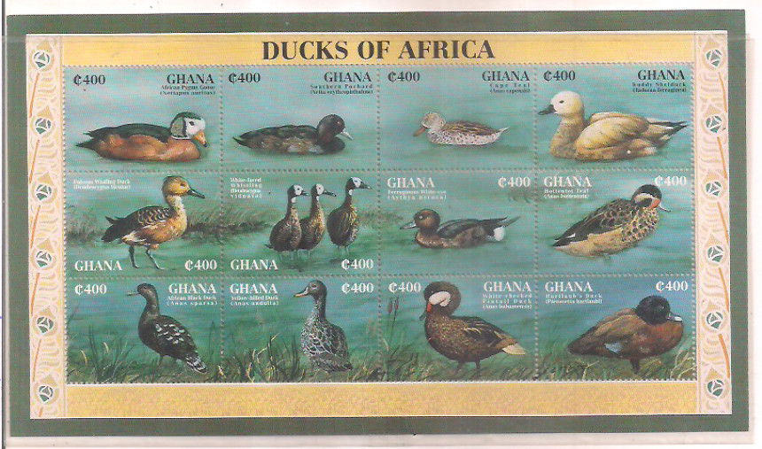 Largest Birds Stamps Collection